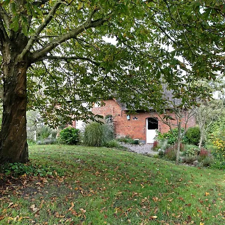 Apartament Haus Am Alten Deich Rodenäs